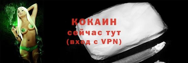 бошки Осинники