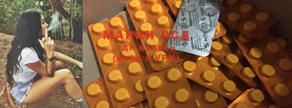 сатива Бронницы