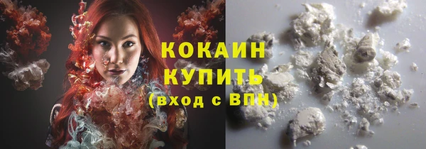 индика Пересвет